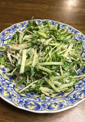 豆苗とシーチキンのサラダ-レシピのメイン写真