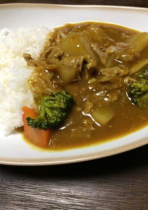 大根入りの和風なカレー-レシピのメイン写真