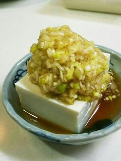 ネギたっぷり!我が家の冷奴-レシピのメイン写真