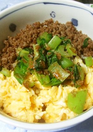 早く、豪華に三色どんぶりできあがり-レシピのメイン写真