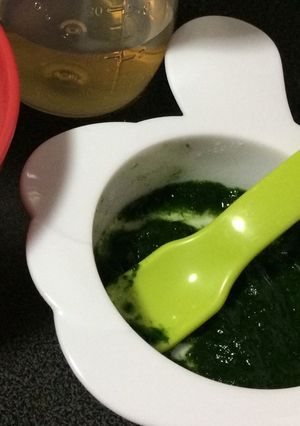 離乳食☆ズボラママ用ほうれん草ペースト-レシピのメイン写真