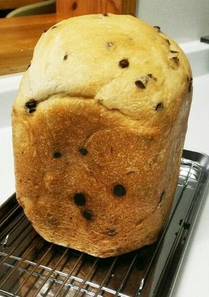 ふわふわチョコチップ食パン-レシピのメイン写真