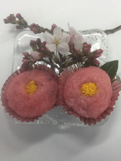 さくら満開♪お花見おはぎ-レシピのメイン写真