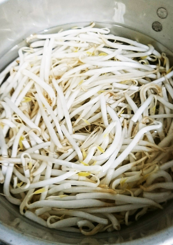シャキっと♪もやしのゆで方-レシピのメイン写真