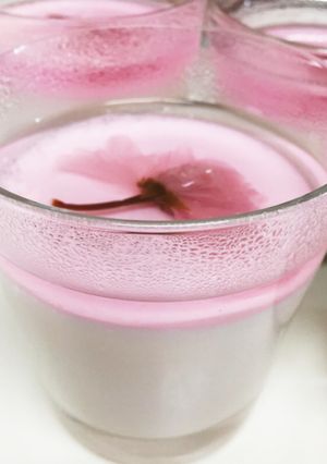 お花見桜ゼリー-レシピのメイン写真