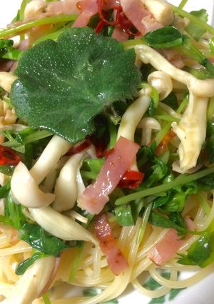 豆苗とユキノシタの小夏冷製パスタ-レシピのメイン写真