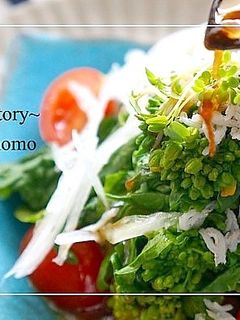 菜の花と新玉のサラダ*わさびドレッシング-レシピのメイン写真