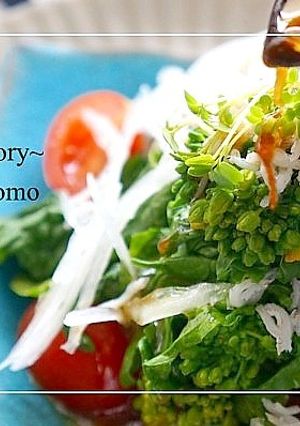 菜の花と新玉のサラダ＊わさびドレッシング-レシピのメイン写真