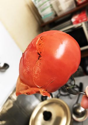 焼いてトマトの薄皮むき-レシピのメイン写真