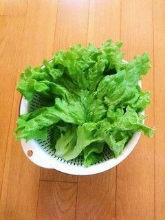 裏技!簡単!野菜の水切り-レシピのメイン写真
