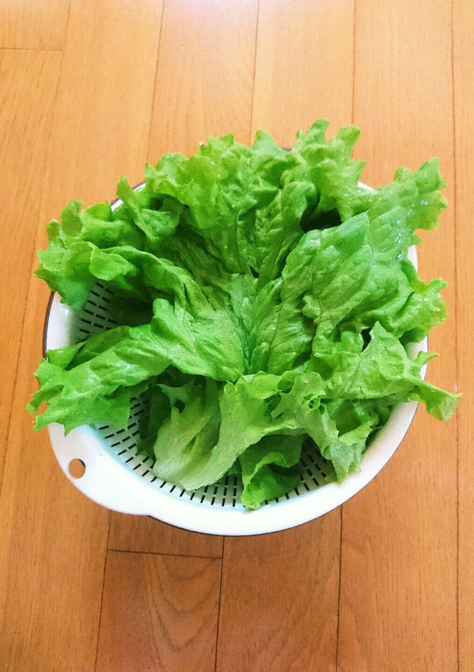 裏技！簡単！野菜の水切り-レシピのメイン写真