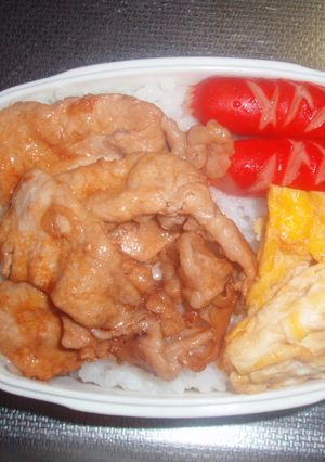 朝の10分簡単豚丼弁当-レシピのメイン写真