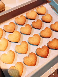 サクサクッ♪基本のプレーンクッキー-レシピのメイン写真