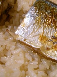 秋刀魚の炊き込み御飯-レシピのメイン写真