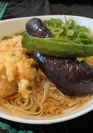 とり天のせぶっかけ-レシピのメイン写真