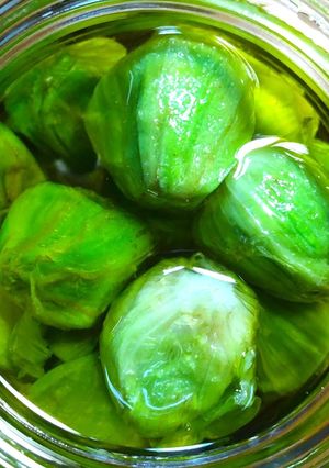 蕗の薹のオリーブオイル漬け Ⅱ-レシピのメイン写真