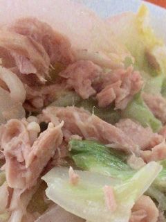 塩だけ☆簡単♪ツナとえのき白菜の炒め物-レシピのメイン写真