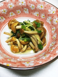 ちゃちゃっと!なめことカイワレのおひたし-レシピのメイン写真