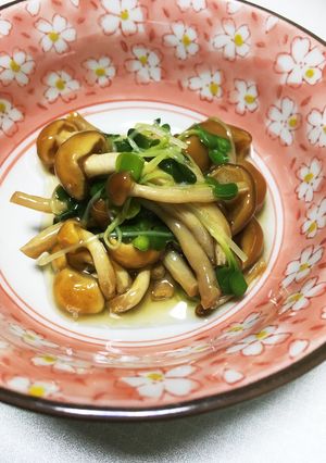 ちゃちゃっと!なめことカイワレのおひたし-レシピのメイン写真