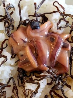 塩辛と塩昆布☝ご飯のお供‼お茶漬けも旨い-レシピのメイン写真