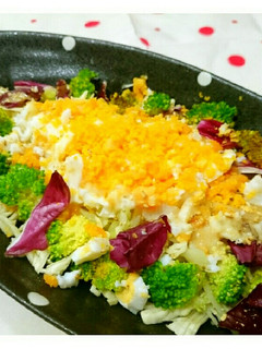 春キャベツのミモザサラダ-レシピのメイン写真