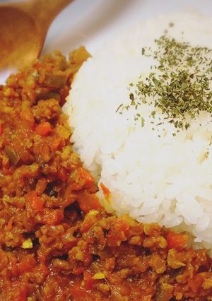 簡単★レシピ聞かれるドライキーマカレー★-レシピのメイン写真