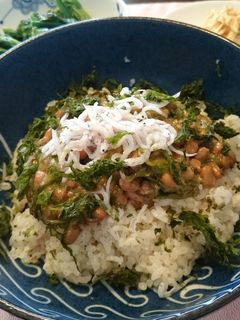 めかぶ納豆しらす丼-レシピのメイン写真
