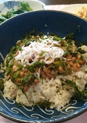 めかぶ納豆しらす丼-レシピのメイン写真