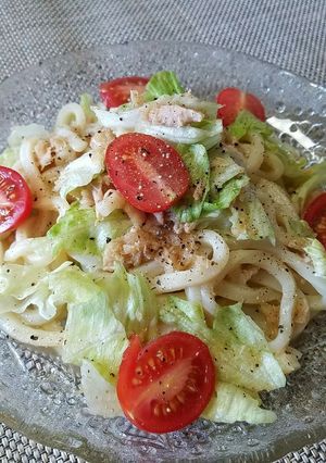冷凍うどんで簡単サラダうどん♪-レシピのメイン写真