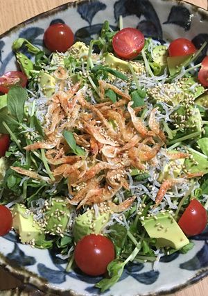 簡単★豆苗の栄養満点サラダ-レシピのメイン写真