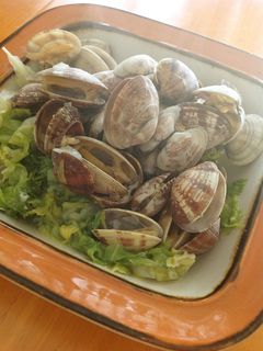 アサリとキャベツの酒蒸し-レシピのメイン写真