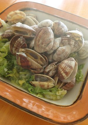アサリとキャベツの酒蒸し-レシピのメイン写真