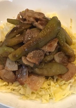 ナスと豚肉のしょうが焼き?ほぼ揚げ浸し?-レシピのメイン写真