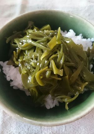 (ワカメの元カブ)めかぶ丼-レシピのメイン写真