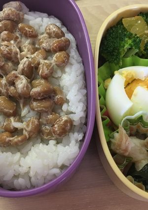 保育園のお弁当5-レシピのメイン写真