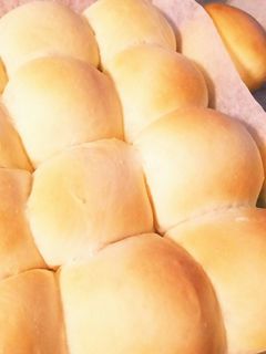 ふわふわ♪シンプルちぎりパン-レシピのメイン写真