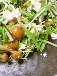 塩昆布で☆豆腐と水菜のあえもの-レシピのメイン写真