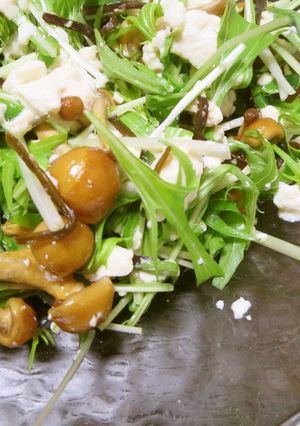 塩昆布で☆豆腐と水菜のあえもの-レシピのメイン写真