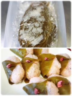 桜の葉★塩漬け-レシピのメイン写真