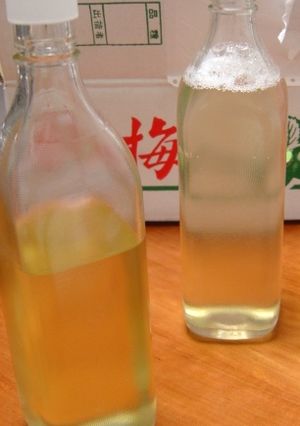 炊飯器を使って梅ジュース-レシピのメイン写真
