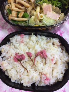 桜ごはんのお弁当(^^)-レシピのメイン写真