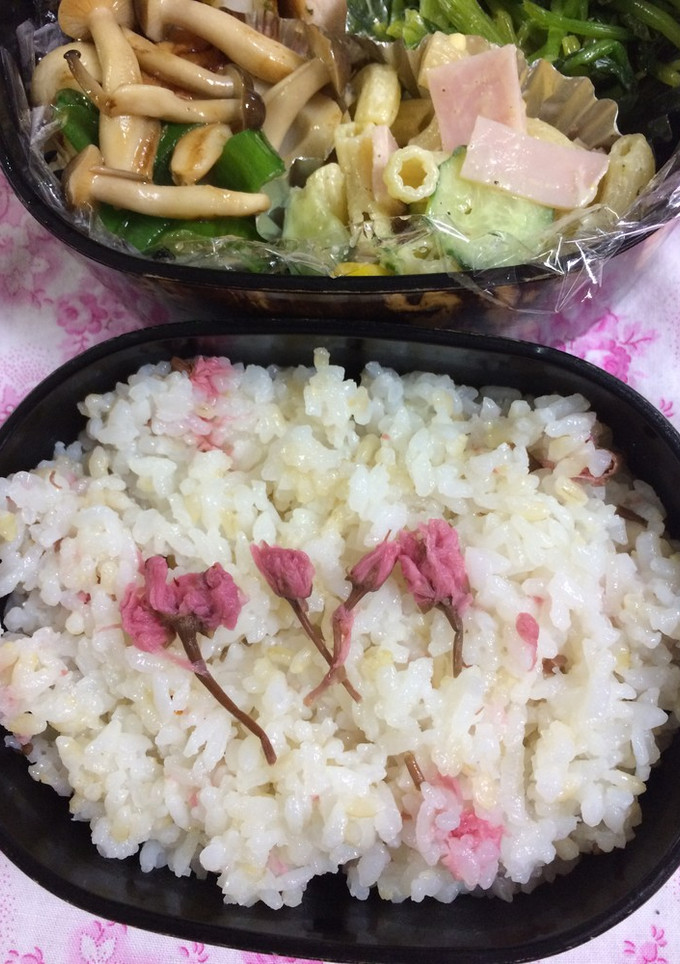 桜ごはんのお弁当(^^)-レシピのメイン写真