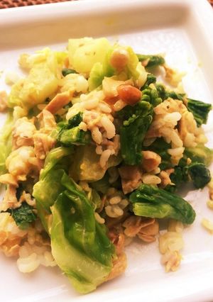 食物繊維たっぷり！春野菜のツナサラダ-レシピのメイン写真