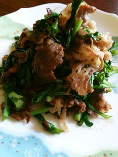 牛肉と春菊の炒め煮-レシピのメイン写真