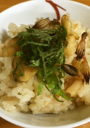 白ミル貝とつくしの炊き込みご飯-レシピのメイン写真