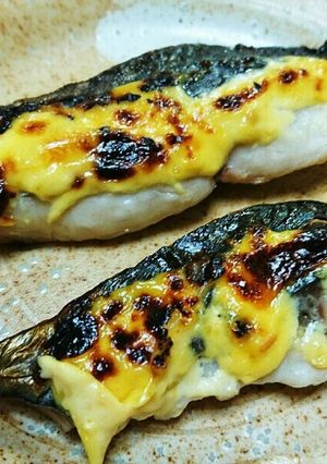サワラの味噌マヨ-レシピのメイン写真