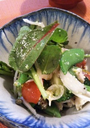 鶏ささみとスナックエンドウのサラダ-レシピのメイン写真
