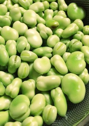喜界島の島そら豆剥き方と保存方法-レシピのメイン写真