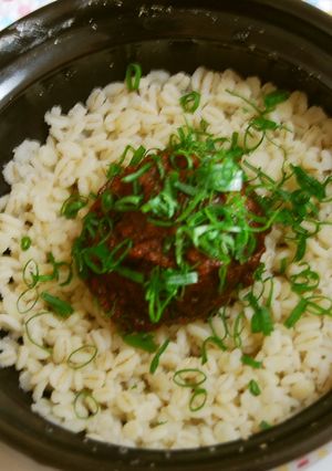 デミグラス肉みそのっけ麦飯-レシピのメイン写真