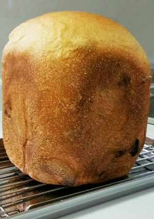 レーズン入り牛乳食パン-レシピのメイン写真